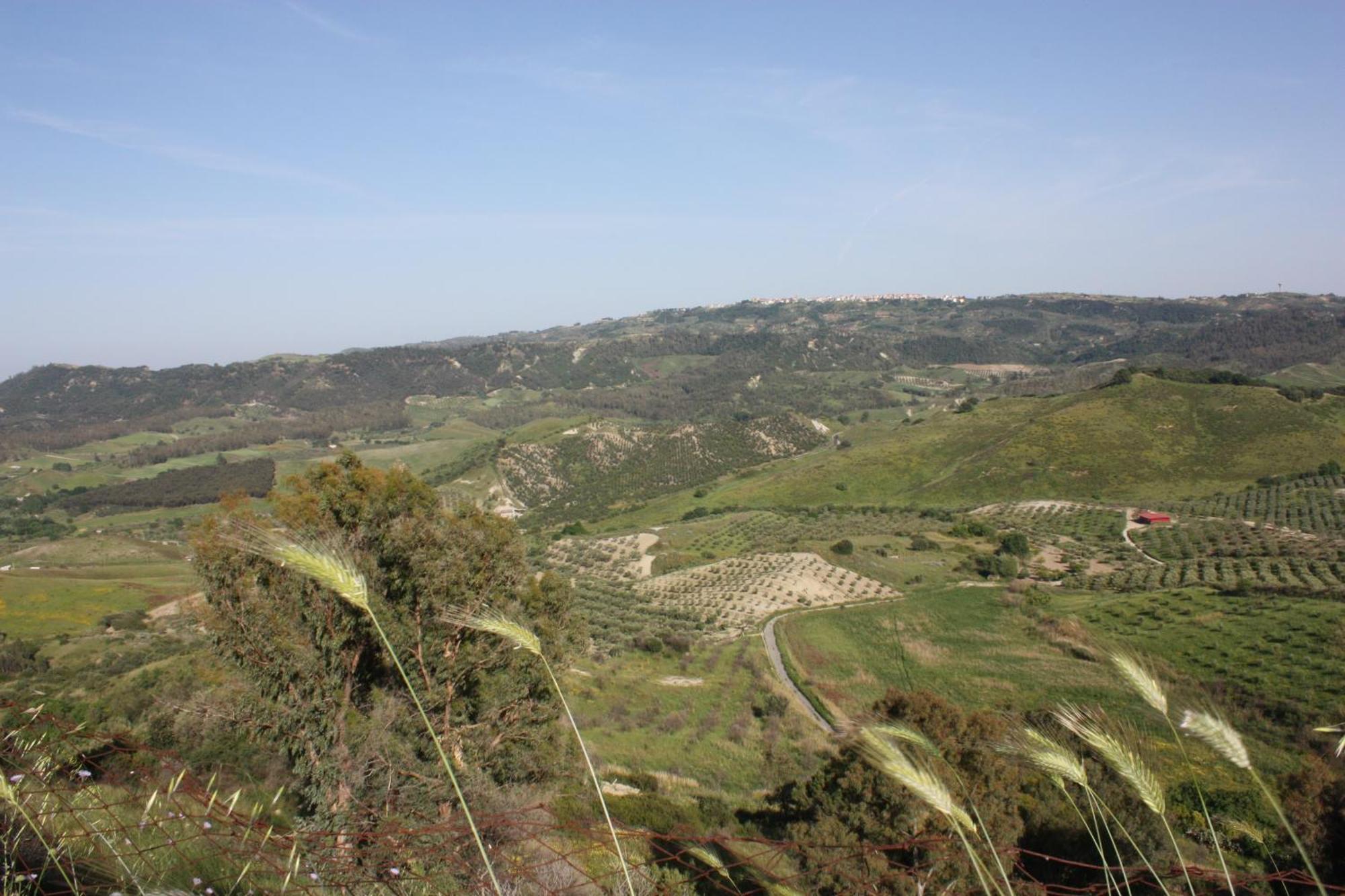 Azienda Agrituristica Biologica Il Querceto Santa Severina Eksteriør bilde