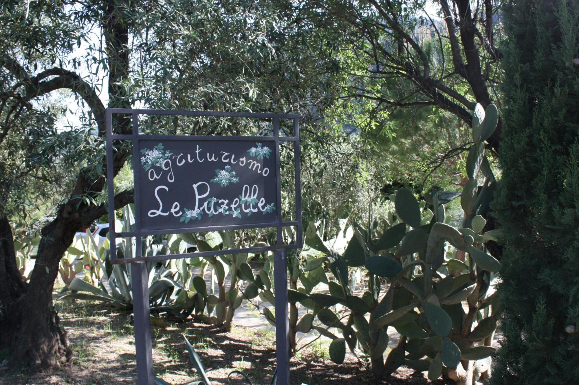 Azienda Agrituristica Biologica Il Querceto Santa Severina Eksteriør bilde