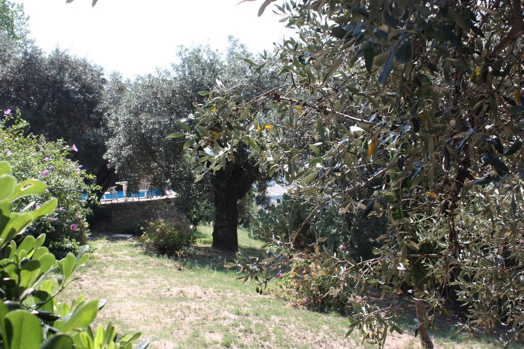 Azienda Agrituristica Biologica Il Querceto Santa Severina Eksteriør bilde