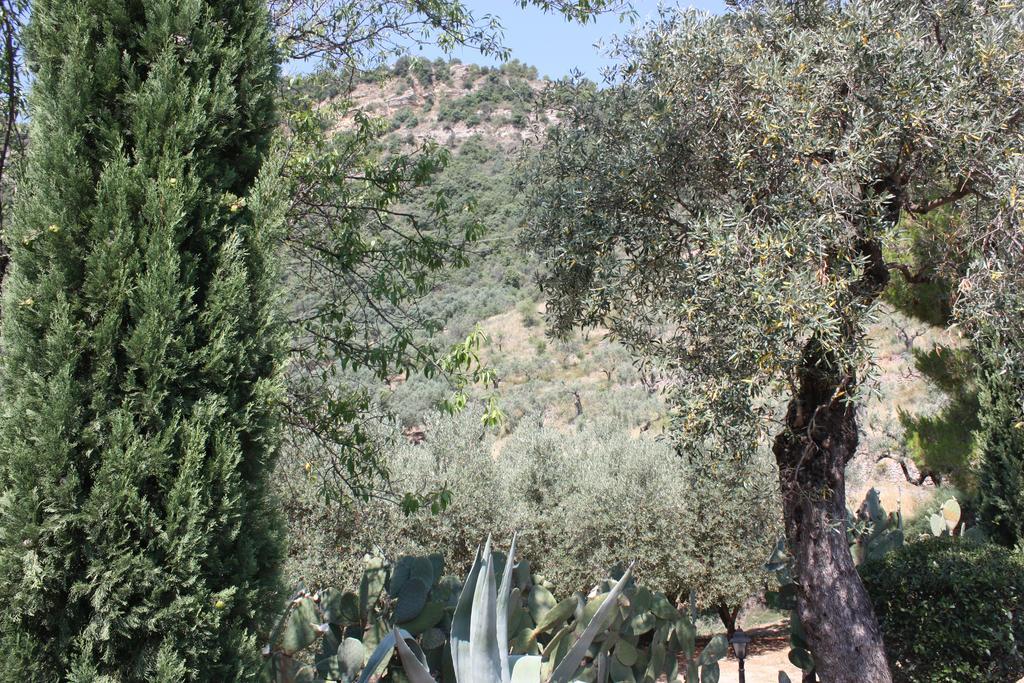Azienda Agrituristica Biologica Il Querceto Santa Severina Eksteriør bilde