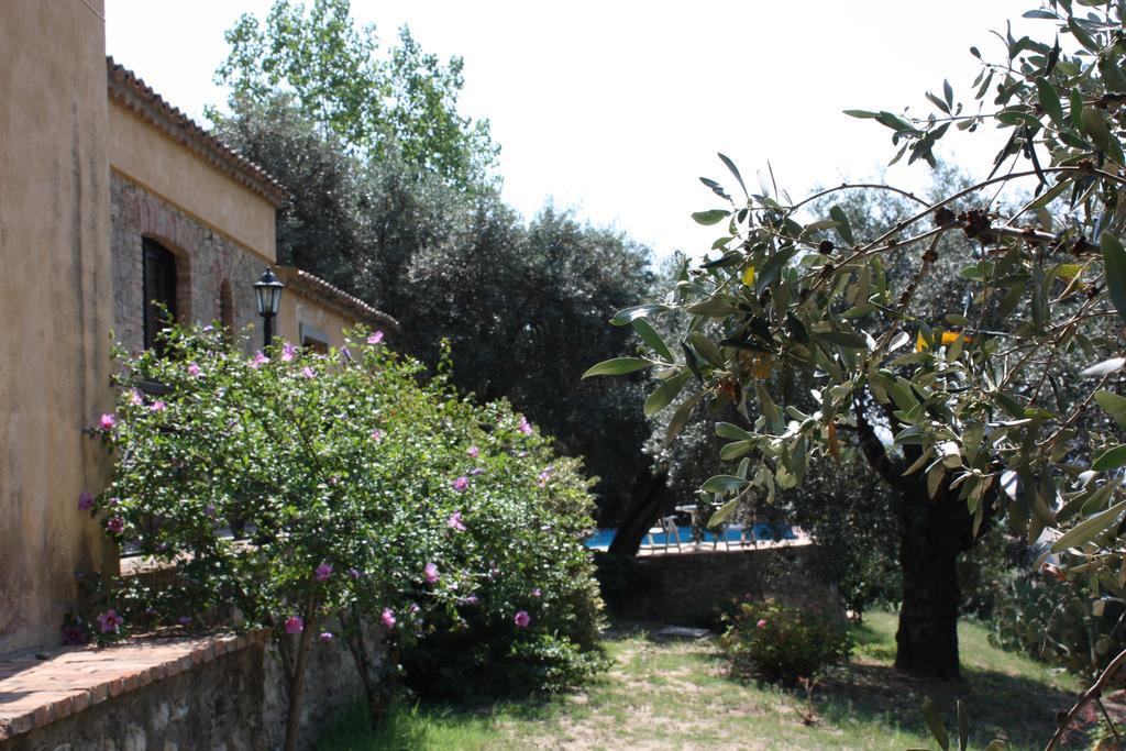 Azienda Agrituristica Biologica Il Querceto Santa Severina Eksteriør bilde