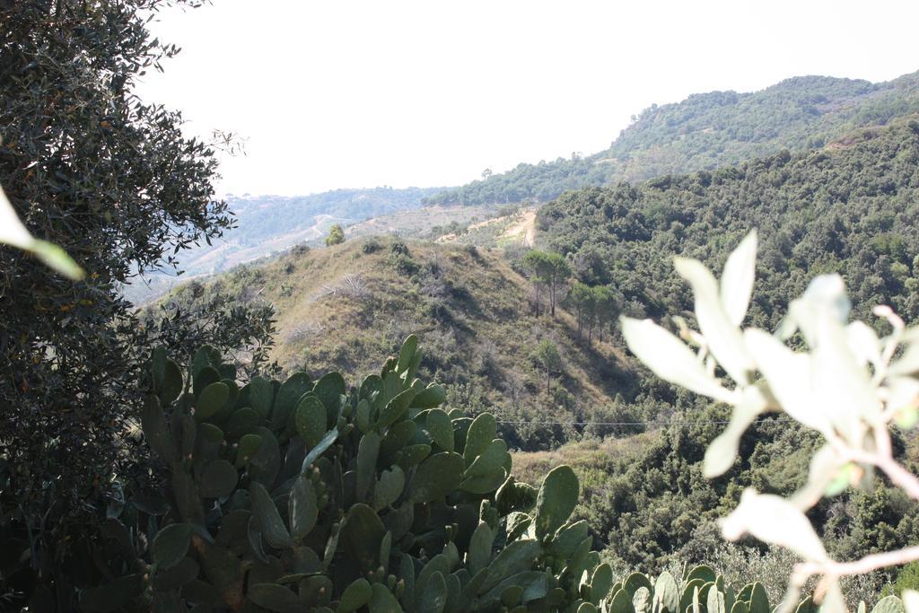 Azienda Agrituristica Biologica Il Querceto Santa Severina Eksteriør bilde