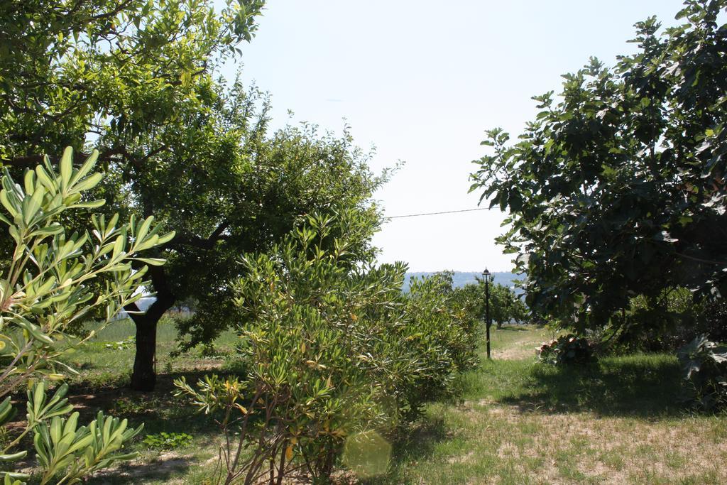 Azienda Agrituristica Biologica Il Querceto Santa Severina Eksteriør bilde