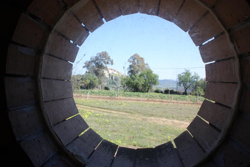 Azienda Agrituristica Biologica Il Querceto Santa Severina Eksteriør bilde