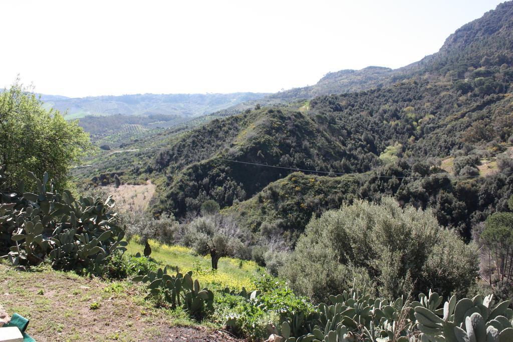 Azienda Agrituristica Biologica Il Querceto Santa Severina Eksteriør bilde