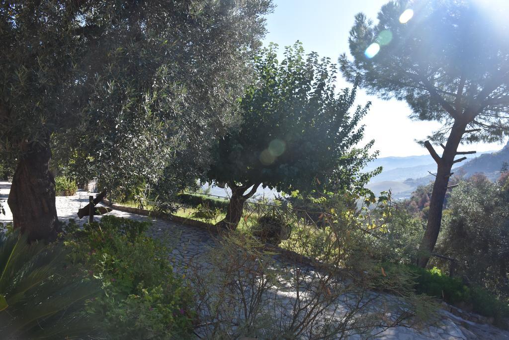 Azienda Agrituristica Biologica Il Querceto Santa Severina Eksteriør bilde